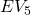 EV_5