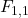 F_{1,1}
