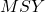 MSY