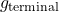 g_{\text{terminal}}