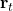 \mathbf{r}_t