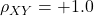 \rho_{XY} = +1.0