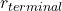 r_{terminal}